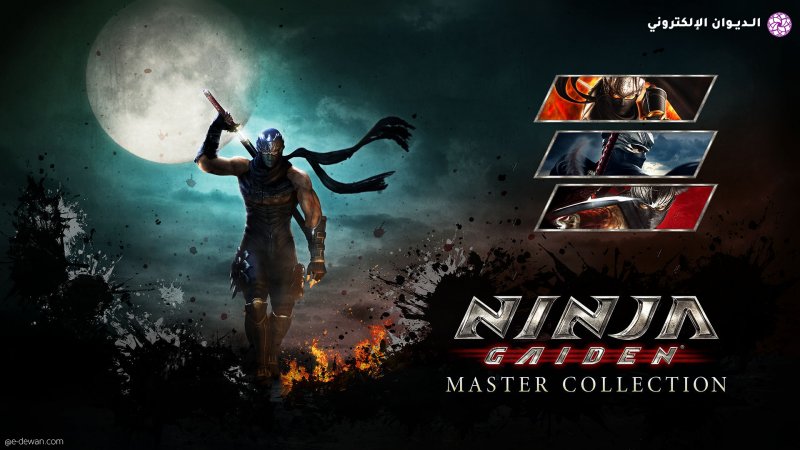 Ninja gaiden master collection switch hero