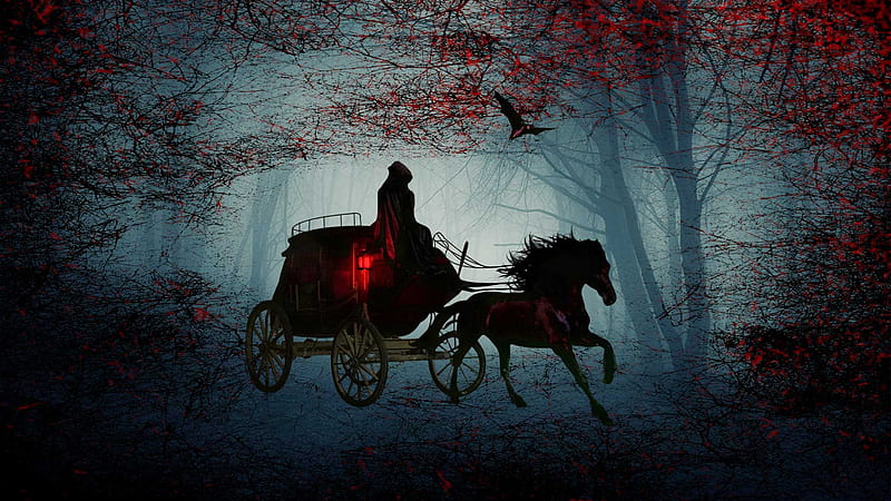 HD wallpaper dark night horse forest scary forest cloak halloween dark horse haunted forest ca