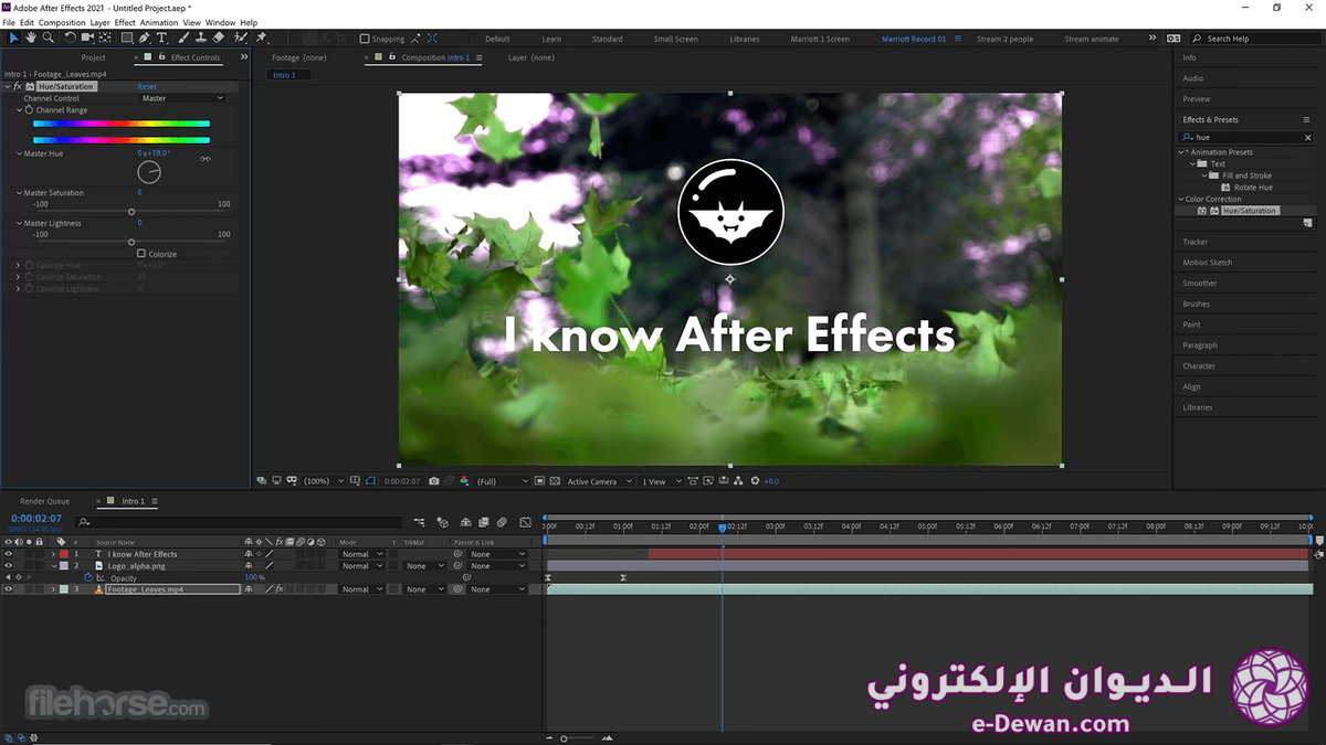 Adobe after effects screenshot 04