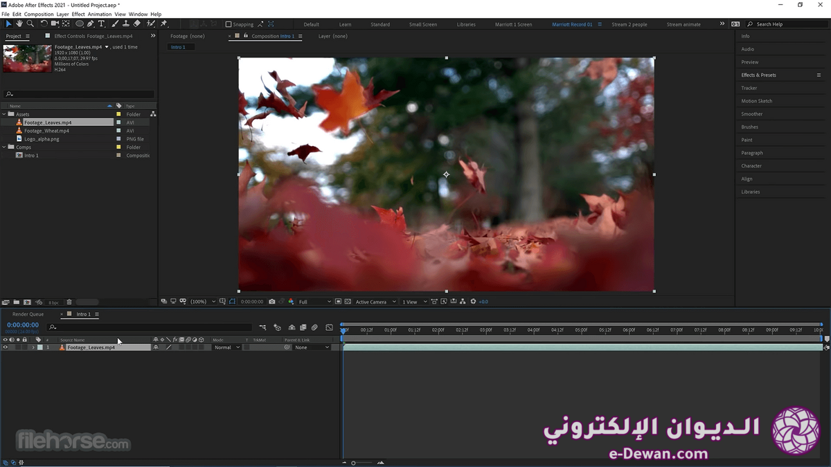 Adobe after effects screenshot 01