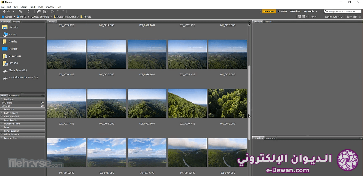 Adobe bridge screenshot 01