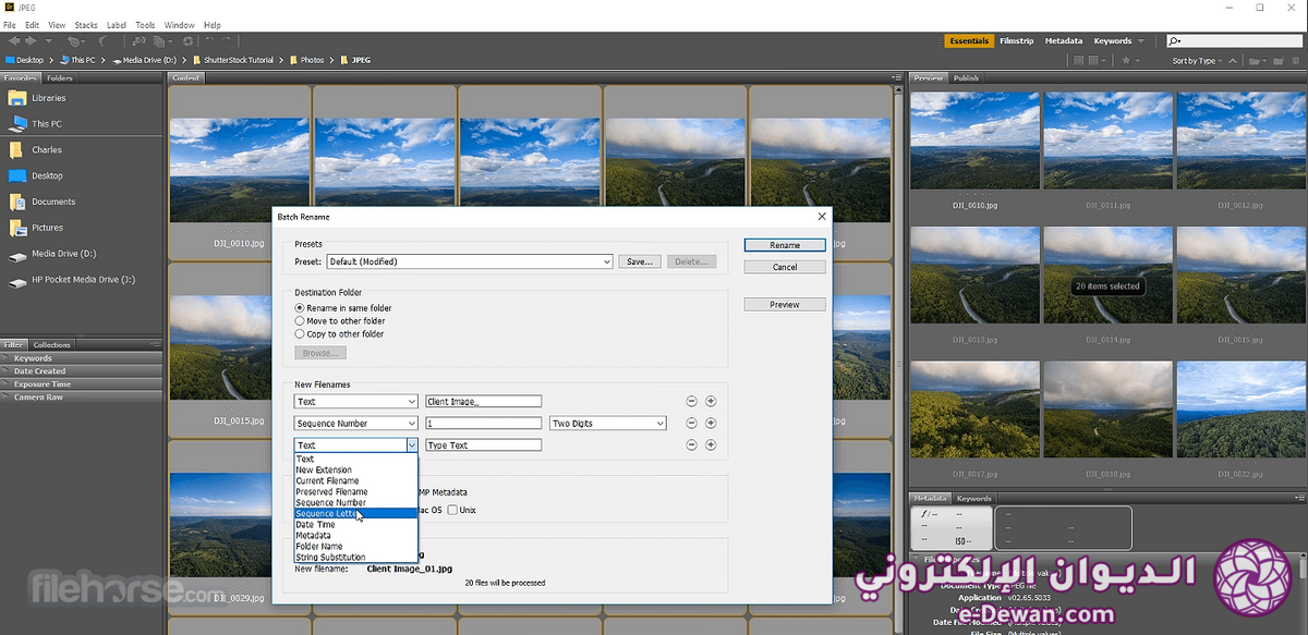 Adobe bridge screenshot 02