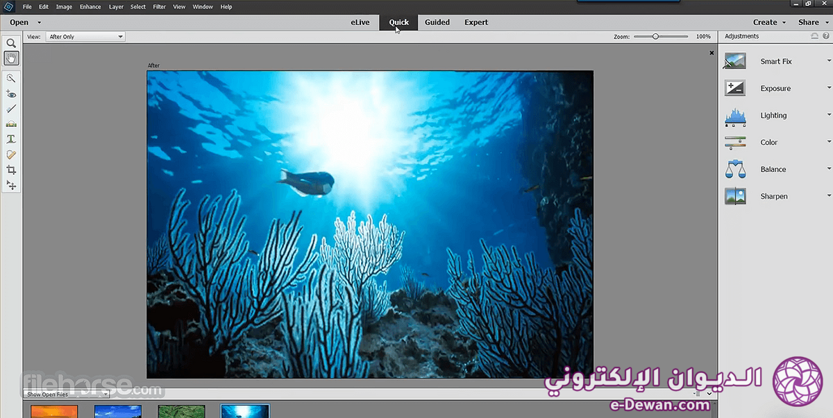 Adobe photoshop elements screenshot 02