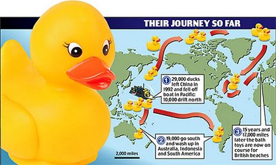 Toy duck map