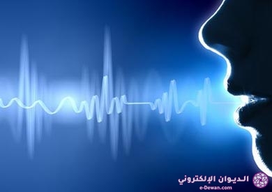 Voice voice
