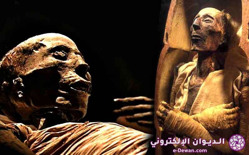 Ancient egypt mummy main00120210811