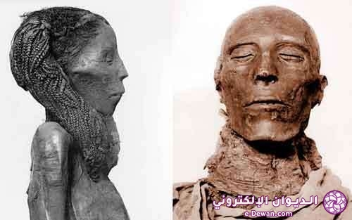 Ancient egypt mummy bg00420210811