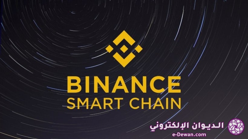 Binance Smart Chain guide